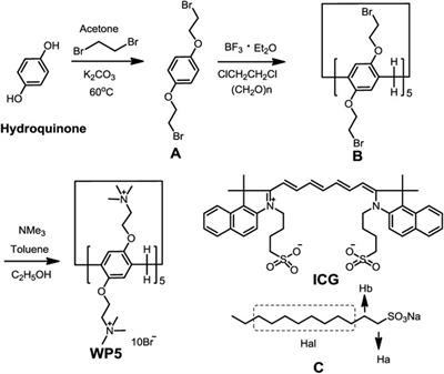 Enhancing the Stability and Photothermal Conversion Efficiency of ICG by Pillar[5]arene-Based Host-Guest Interaction